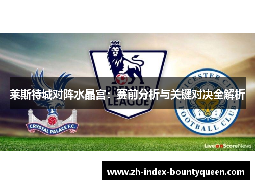 莱斯特城对阵水晶宫：赛前分析与关键对决全解析