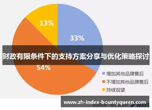 财政有限条件下的支持方案分享与优化策略探讨
