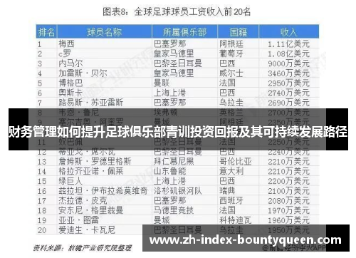 财务管理如何提升足球俱乐部青训投资回报及其可持续发展路径 财务管理如何提升足球俱乐部青训投资回报及其可持续发展路径