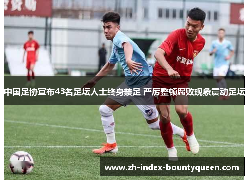 中国足协宣布43名足坛人士终身禁足 严厉整顿腐败现象震动足坛 中国足协宣布43名足坛人士终身禁足 严厉整顿腐败现象震动足坛