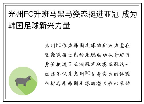光州FC升班马黑马姿态挺进亚冠 成为韩国足球新兴力量