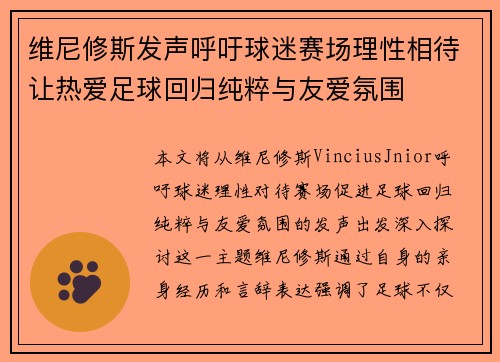 维尼修斯发声呼吁球迷赛场理性相待让热爱足球回归纯粹与友爱氛围